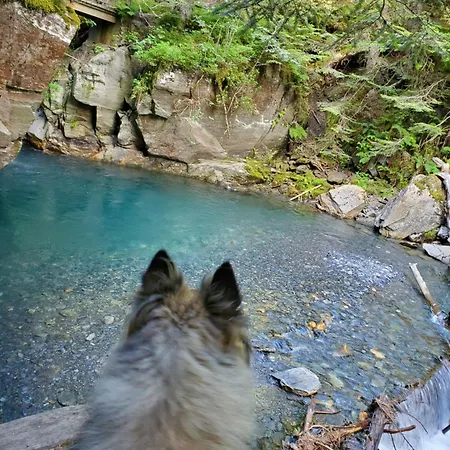 Cosy Classe 3 Etoiles Dans Coeur Historique *